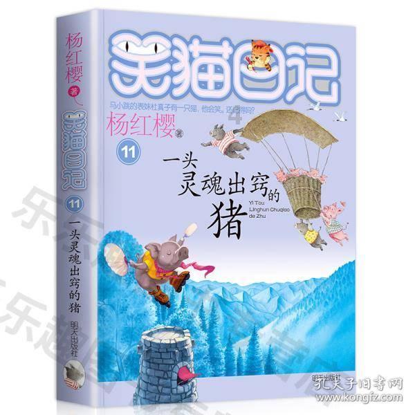 探索世界奇妙的在可可西里失联男子已去世,他为什么要去可可西里?问题!
