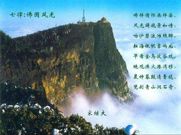 动物帮帮忙保卫家园