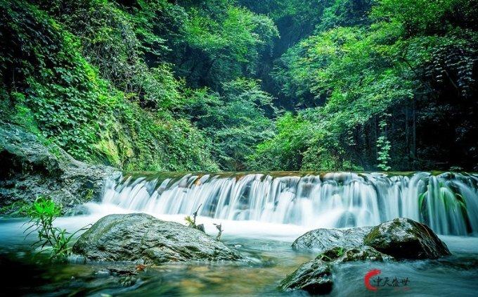 动物帮帮忙保卫家园
